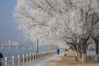 2023年1月27日，吉林省吉林市松花江大雾弥漫，再度出现雾凇美景。