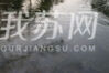 今天（1月28日)清晨，南京城气温最低温度-5℃，南京玄武湖部分湖面结冰，冰面上各式各样的纹路清晰可见，仿佛一朵朵冰花“绽放”，绝美如画。冰点下的玄武湖有着别样的风景，吸引不少市民前来欣赏冬日湖景。 