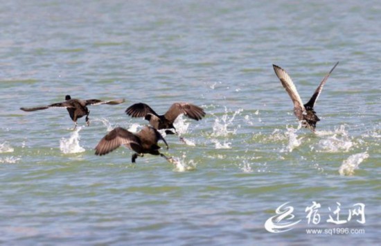 f93343de38eb1041ddf0593afc9ac964f1fdaf9f