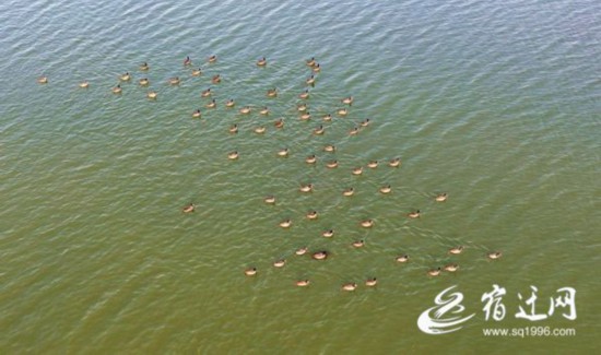 54060fd1a8ae69fc0e9178fb7e897feda9532415