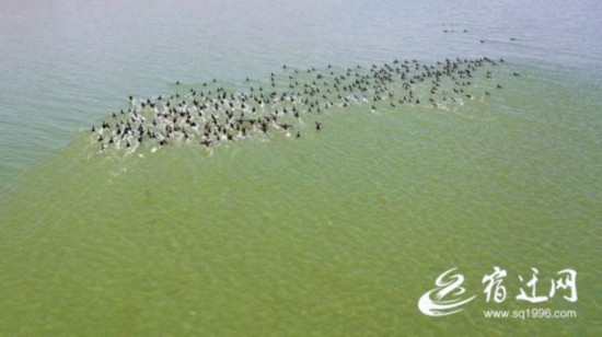 0a2c614b1273be7a7f8ab6292a9c6468f38a4b74