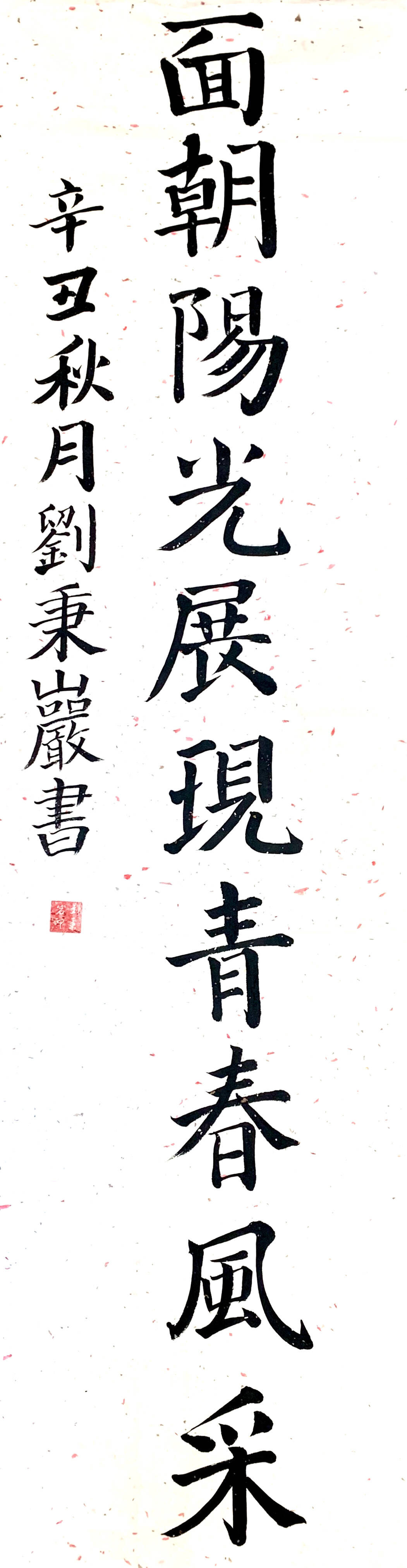 南师附中新城小学南校区建校十周年纪念册书法作品展示三