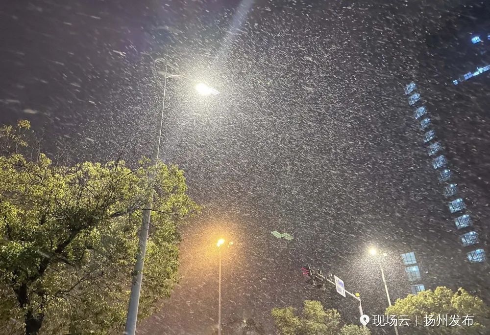 飘雪的夜晚真实图片图片