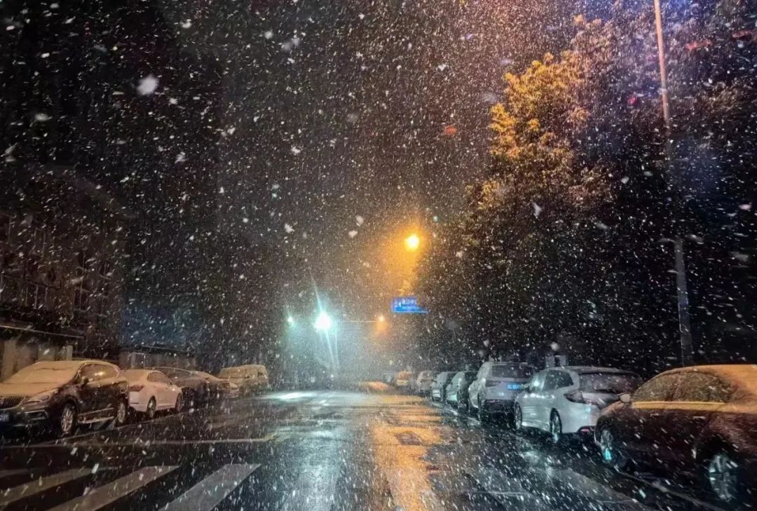 飘雪的夜晚真实图片图片