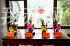 今天（2月18日），百花闹春游园会迎来新看点——南京春兰名品展在梁洲金陵盆景园隆重开幕。此次春兰名品展共展出300多盆春兰名品，近100多个品种，以“一兰一景”的方式展示。