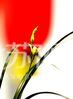 今天（2月18日），百花闹春游园会迎来新看点——南京春兰名品展在梁洲金陵盆景园隆重开幕。此次春兰名品展共展出300多盆春兰名品，近100多个品种，以“一兰一景”的方式展示。