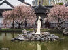 2023年3月17日，南京，蒙蒙细雨中，莫愁湖公园海棠花绽放。
