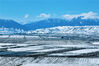 2023年3月20日，新疆乌鲁木齐，一场春雪过后，天气转晴，广袤的田野上一片洁白，草木披雪戴银，空气清新和畅，美景如诗如画。