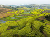2023年3月20日，游客在贵州省毕节市黔西市洪水镇解放村观赏盛开的油菜花。
