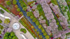 2023年3月23日，浙江省杭州市，淳安县千岛湖珍珠广场樱花盛开，黛粉的花瓣点缀在枝头，繁花似锦，春意渐浓，成为踏青游园的好时节。来源：杨波/IC photo
