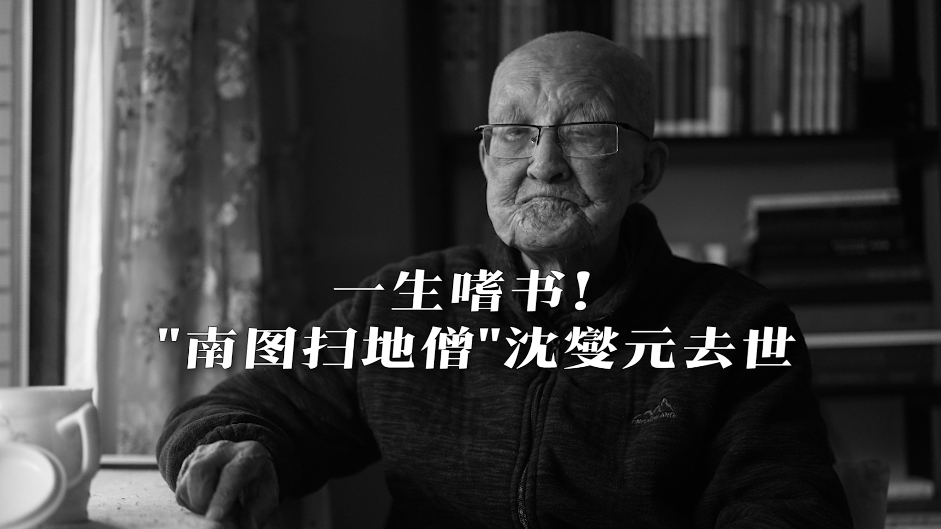 一生嗜书！#南图扫地僧沈燮元去世