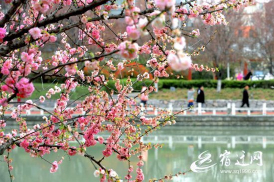 _花乡景色美如画（报纸）(2691731)-20230329084022