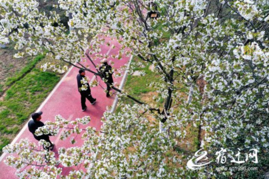 _花乡景色美如画（报纸）(2691732)-20230329084047