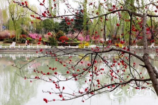 _花乡景色美如画（报纸）(2691733)-20230329084106