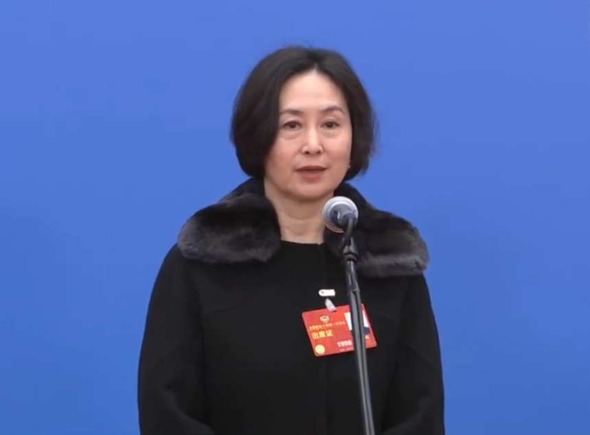 委员通道丨何超琼:大湾区将会成为香港发展的大舞台_我苏网