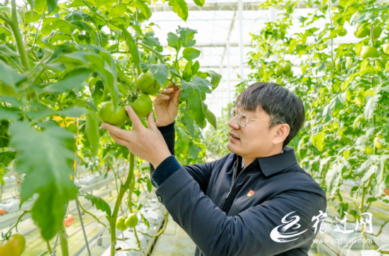 80后村党支部的乡村振兴梦(全媒体)(分(2743302)-20230425083759