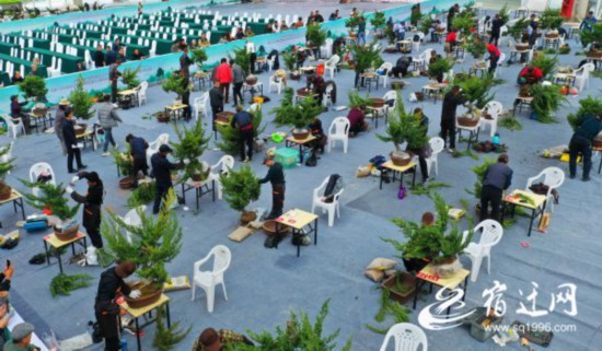 盆景大师实操考核大比拼（报纸）(2744356)-20230425083030