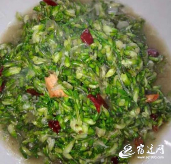 （全媒体）谷雨槐花嫩 食用正当时（有视频(2743647)-20230426085245