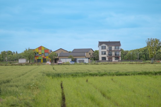 黎里镇乡村美景。人民网 马焘焘摄