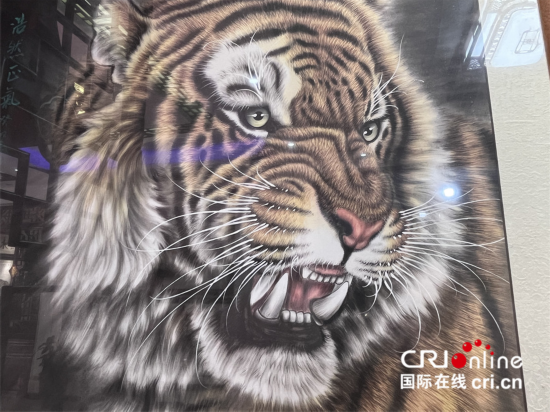 【2023打卡中国】外国网红打卡河南画虎村 感受乡村振兴&ldquo;虎虎生威&rdquo;_fororder_图片17