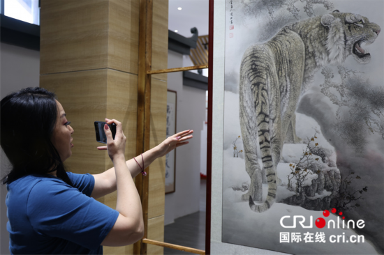 【2023打卡中国】外国网红打卡河南画虎村 感受乡村振兴&ldquo;虎虎生威&rdquo;_fororder_图片18