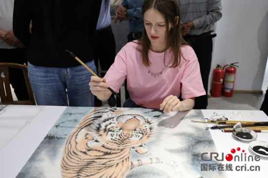 【2023打卡中国】外国网红打卡河南画虎村 感受乡村振兴&ldquo;虎虎生威&rdquo;_fororder_图片19