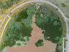 2023年5月31日，广西南宁市，在位于五象新区桂象湖公园里面的公园湖泊的水面上，现一大片水葫芦，绿油油的形似大“草原”一般。这些水葫芦停留在桂象湖的转弯处，一些湖面已经被覆盖得密不透风。
