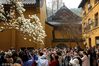 2024年3月12日，杭州，西湖风景区内的法喜寺，一株五百多年树龄的玉兰盛开，吸引了众多游人前来尝花跳春。