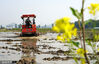 2024年3月8日，浙江省乐清市，农机手驾驶农机在城东街道的农田里耕田作业。
